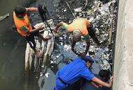 10-year-old Boy Open Drain Patna Drain