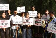 Tigress Avni Bengaluru Protest Justice for Avni Tiger