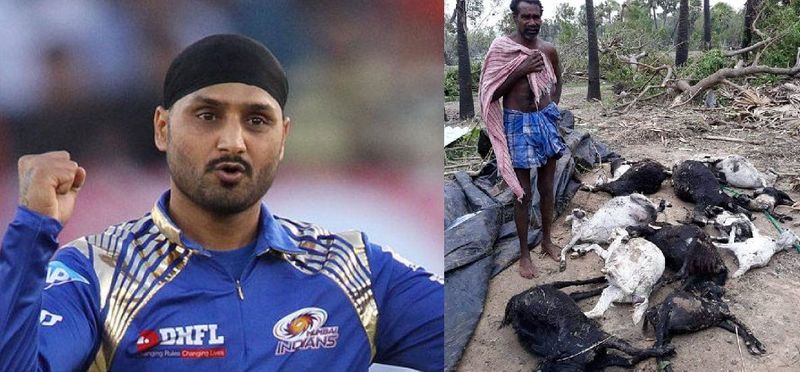 Harbhajan Singh tweets in Tamil to support Delta people