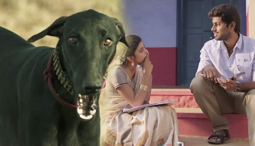 क्या द्रविड़ राजनीति ने दलितों को निराश किया है?