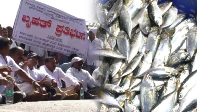 Karnataka fishermen protest against Goa govt's fish blockade