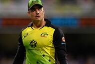 India vs Australia T20I series Marcus Stoinis  Dinesh Karthik