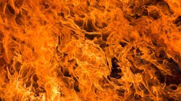 Vijayawada-based financier set ablaze by two men