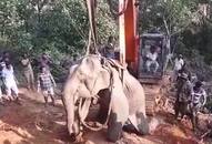 Karnataka: Heart-wrenching scenes as rescued elephant dies, calf refuses body to be taken away, locals in tears