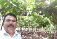 narendra modi soil testing nashik wine capital