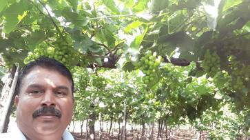 narendra modi soil testing nashik wine capital