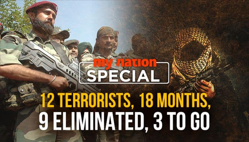 Top terrorist commanders eliminated Indian Army's Operation All Out