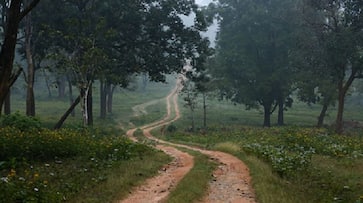 Eight Amaravati projects denied permission to use forest land