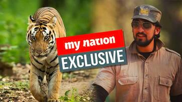 Big cat tracker Mihir Mahajan brings out irony in protests against tigress Avni's killing