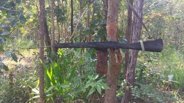 Chhattisgarh naxal dummy guns effigies security forces CRPF IED Army jawan