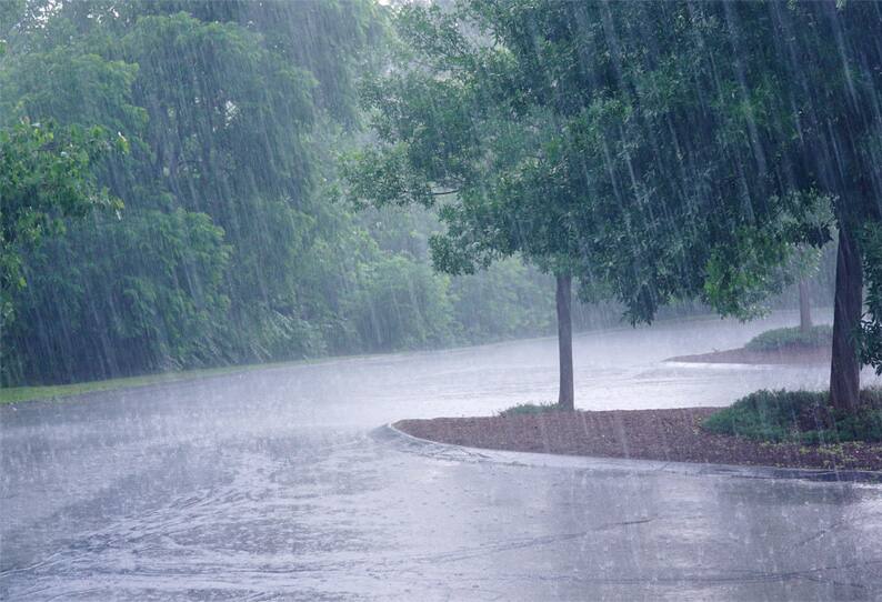 Bengaluru hit with heavy rain 15 trees uprooted, no power supply in parts of city