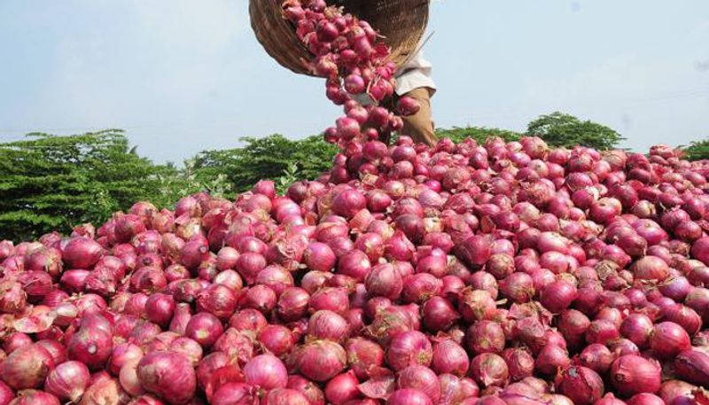 Government creating 50000 tonne of onion buffer to curb price rise