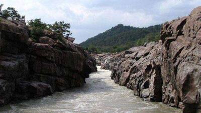 मेकेदातु परियोजना पर तमिलनाडु के राजनीतिक दलों का अलग अलग विरोध