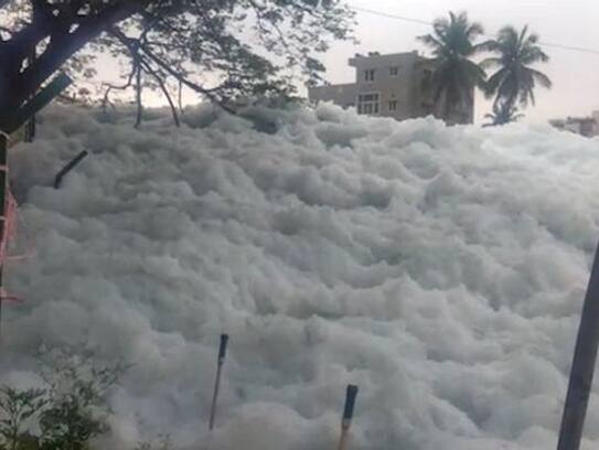 NGT slaps Karnataka government with Rs 50 crore fine for failing to protect lakes