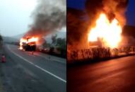 Tamil Nadu private bus catches fire, passengers unharmed