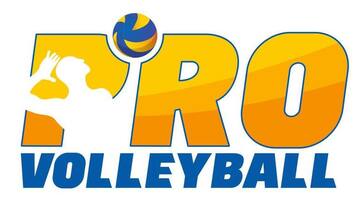 RuPay joins hands with Pro Volleyball League, becomes title sponsor