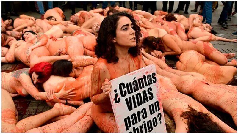 nude agitation against animal killings