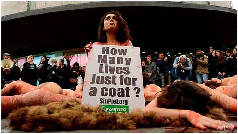 nude agitation against animal killings