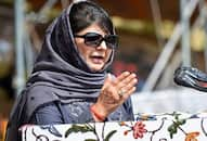 Mehbooba surrenders anantnag as bjp nc get three seat each in jk elections 2019