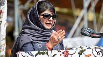 Mehbooba surrenders anantnag as bjp nc get three seat each in jk elections 2019