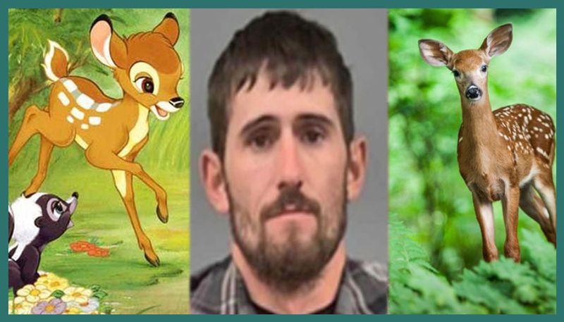 Deer poacher sentenced to watch Bambi in prison