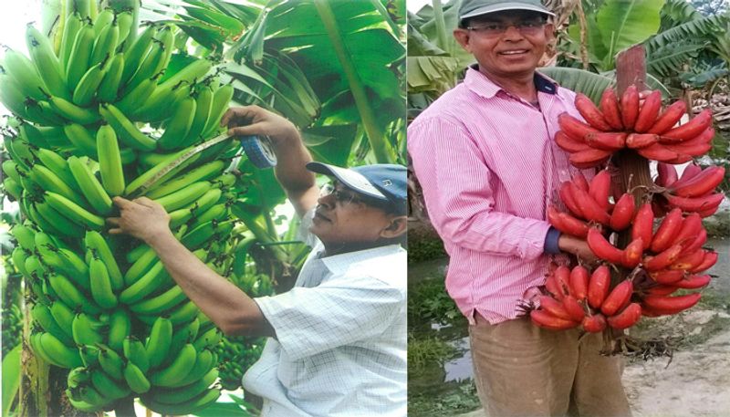 Farmer Earns 48 Lakhs by Banana Farming