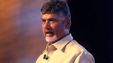 Lok Sabha polls 2019: Chandrababu Naidu asks EC to revert to ballot papers