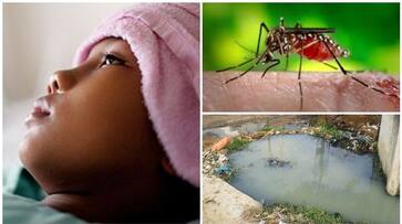 National Dengue Day Here are some tips prevent dengue viral infection