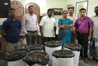 181 kg of cannabis set to be smuggled to Sri Lanka; confiscated in Thoothukudi