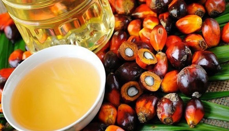 how to purify ration kadai palm oil at home in tamil mks