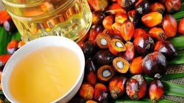 Government can ban the import of palm oil from Malaysia