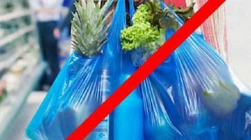 Tamil Nadu plastic ban exemption anticipation fines