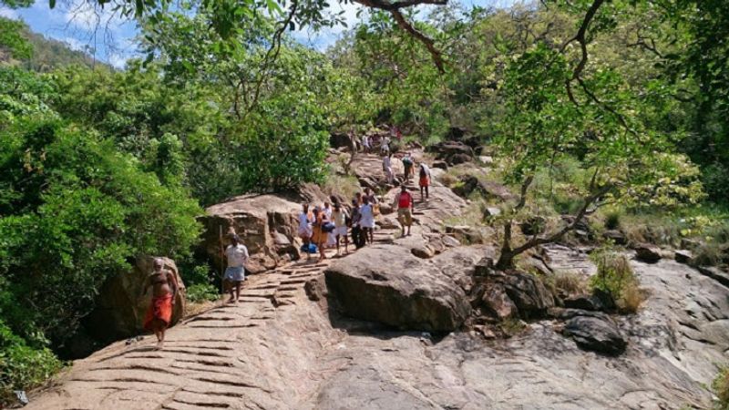 thai amavasai 2024 devotees are allowed to visit  sathuragiri temple for 4 days in tamil mks