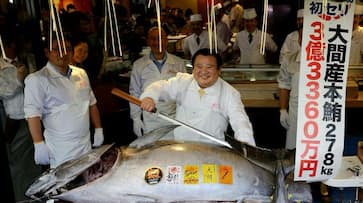 Tuna fish auctioned in 21.5 crore