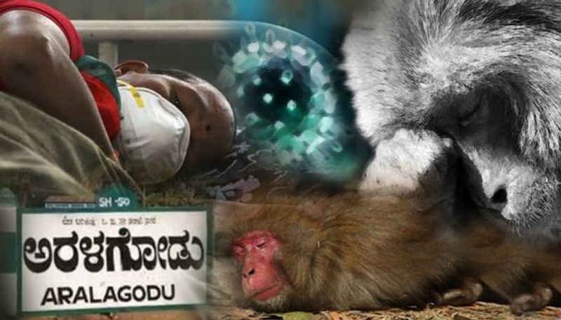 Monkey Fever Grips Malnad Region Karnataka cry for help