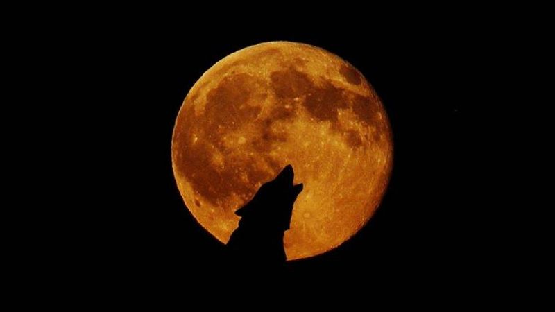 Super Blood Wolf Moon to be seen On January 21