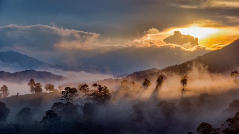 Winter will be here in February in kerala