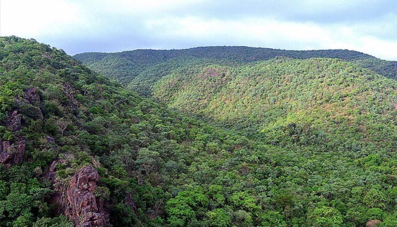 Karnataka Govt Okays Mining in Ballari Reserve Forest