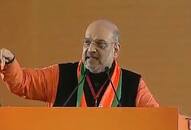 BJP council meet: We want Mandir at earliest, Congress delaying it, says Amit Shah