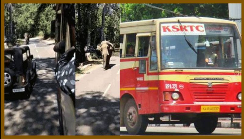 KSRTC Bus passed wild elephant on sabarimala route Viral Video