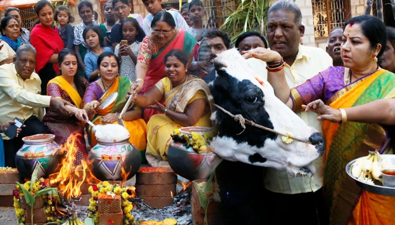 Sankranti Actress Tara celebrates Pongal with BBMP pourakarmikas