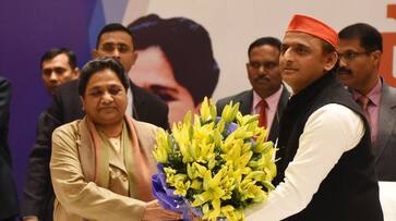 SP-BSP alliance a bid to save disproportionate assets of Yadavs, Mayawati