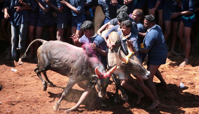 jallikattu prize and winning persons details