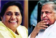 SP-BSP alliance may squeeze Mulayam out of UP politics