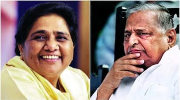 SP-BSP alliance may squeeze Mulayam out of UP politics