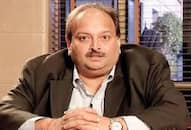 Mehul choksi is not only defaulter of pnb but he also took loan from sbi