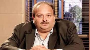 Mehul choksi is not only defaulter of pnb but he also took loan from sbi