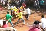 Kolar bull race Bull succumbs to injuries hundreds people watch Jallikattu