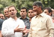 Congress breaks ties TDP contest Assembly Lok Sabha election alone Andhra Pradesh