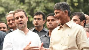 Congress breaks ties TDP contest Assembly Lok Sabha election alone Andhra Pradesh